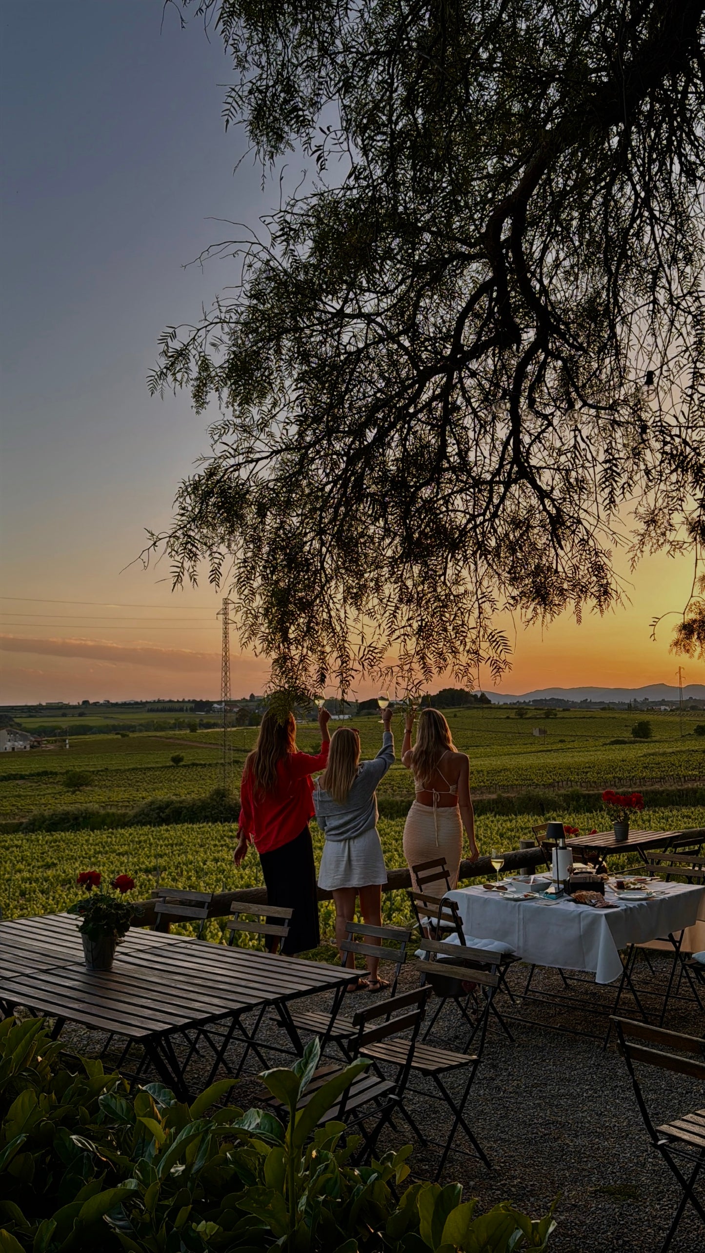 Sunset Dinner with Wine Tasting in a Winery