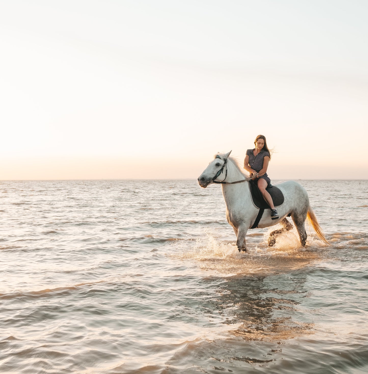 Ibiza: 3 hours Private Horseback Riding Tour on the Beach with Cava