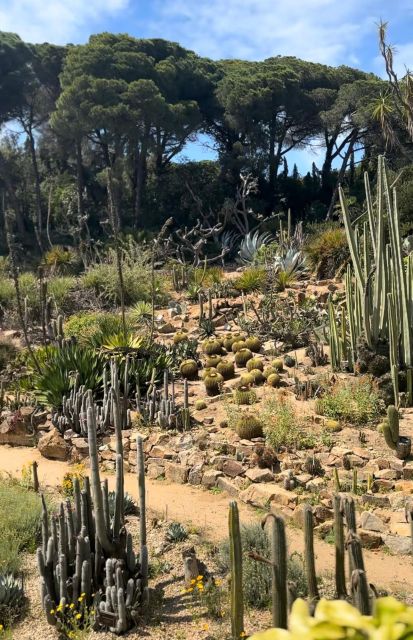 BLANES + Marimurtra Garden (+ Optional: Wine Tasting + Tapas)