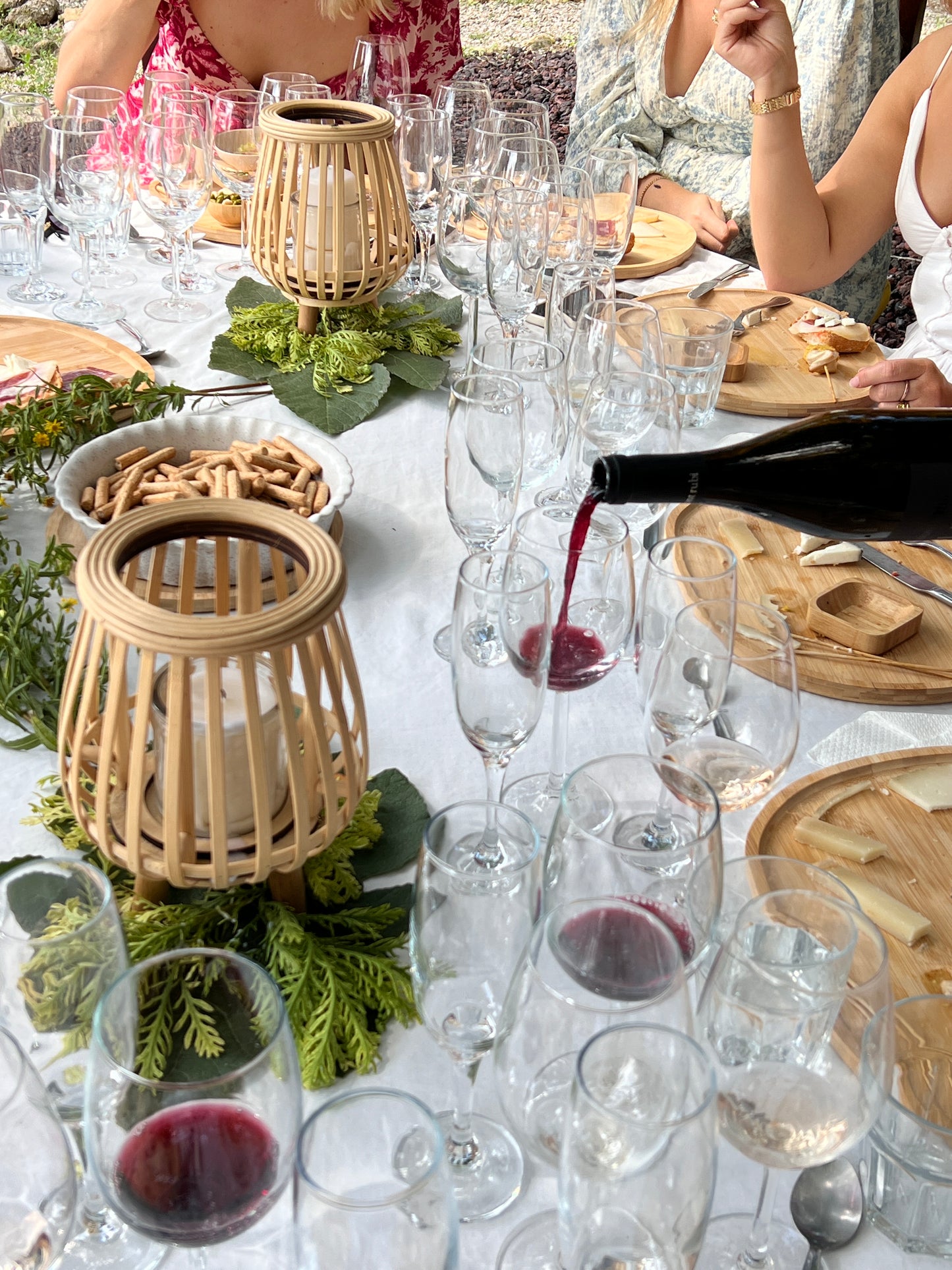 Private Wine Tasting underneath a Lemon Tree