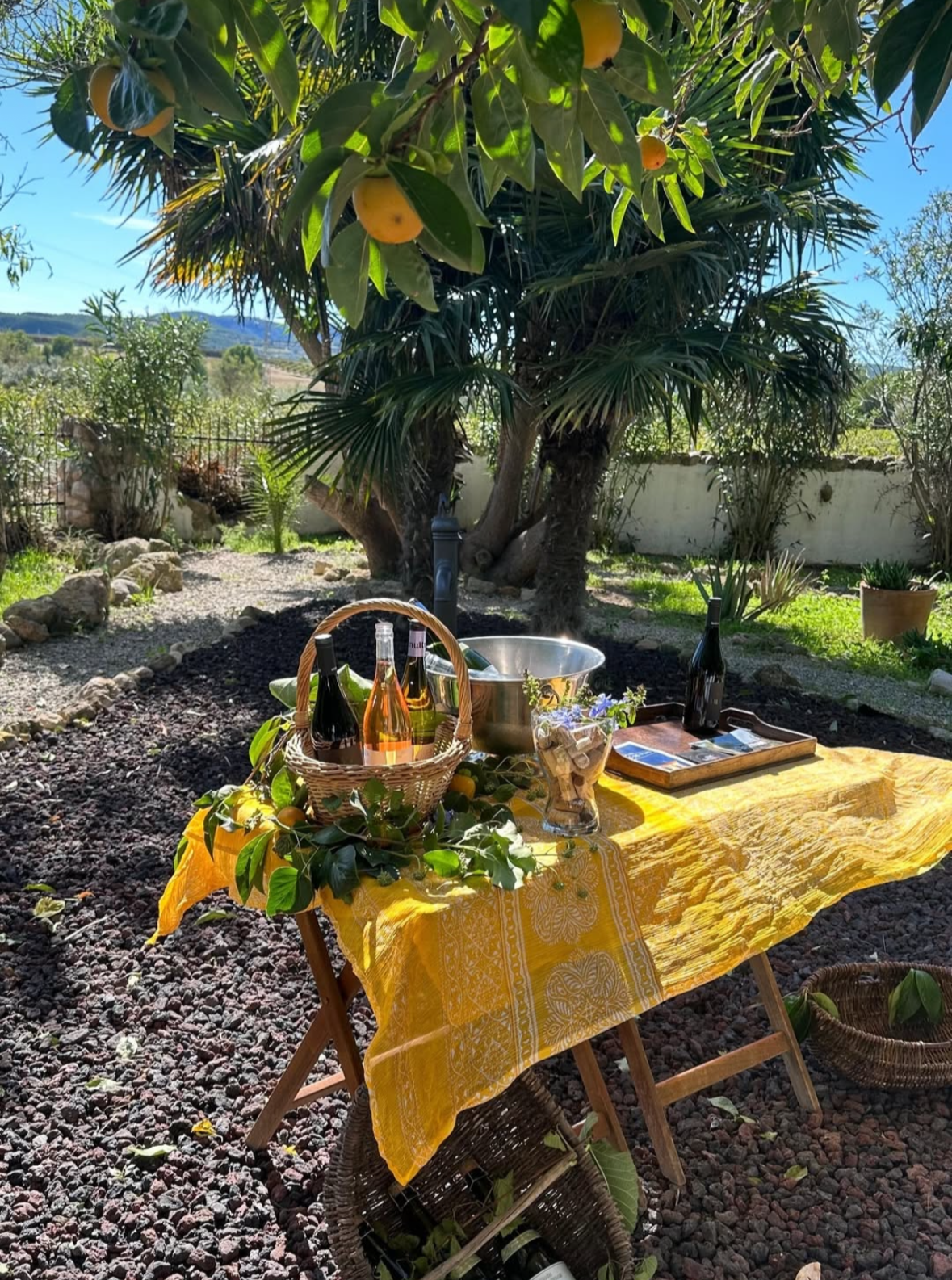 Private Wine Tasting underneath a Lemon Tree