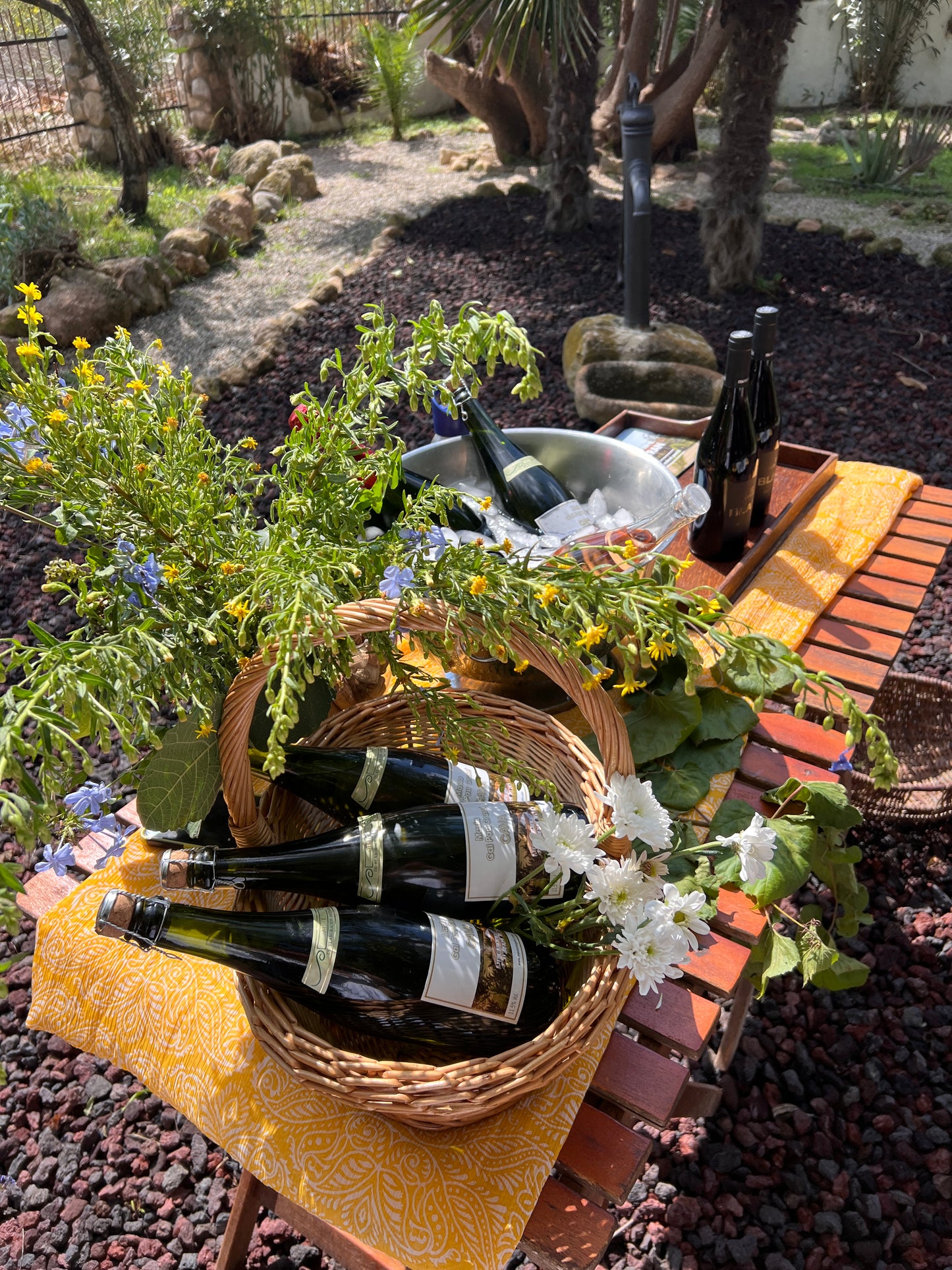 Private Wine Tasting underneath a Lemon Tree