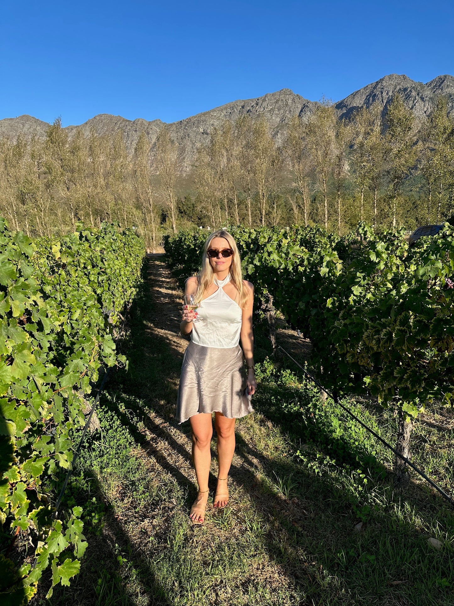 From Cape Town: Private Luxury Winary Tour with Three Wine Tastings