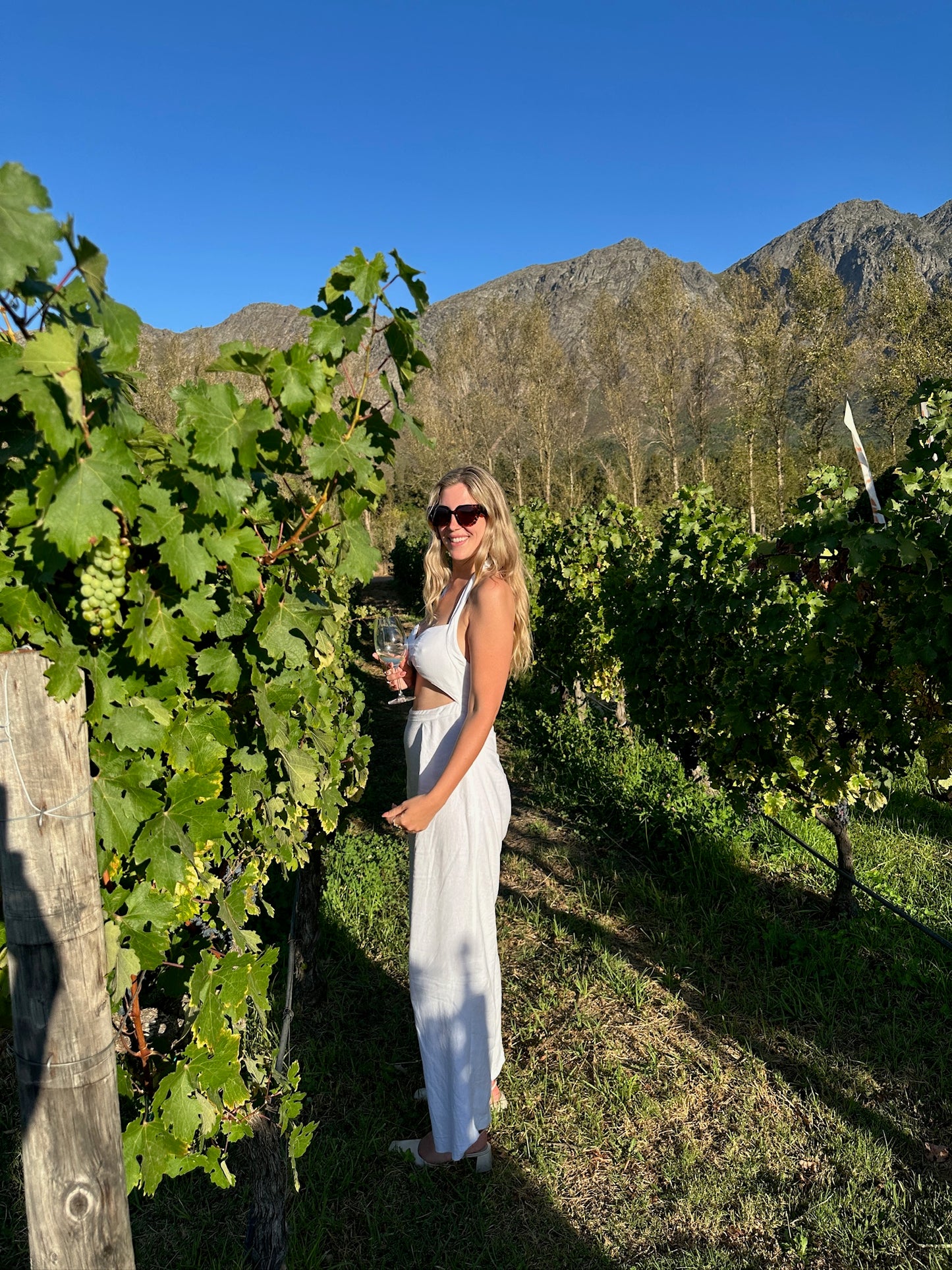 From Cape Town: Private Luxury Winary Tour with Three Wine Tastings
