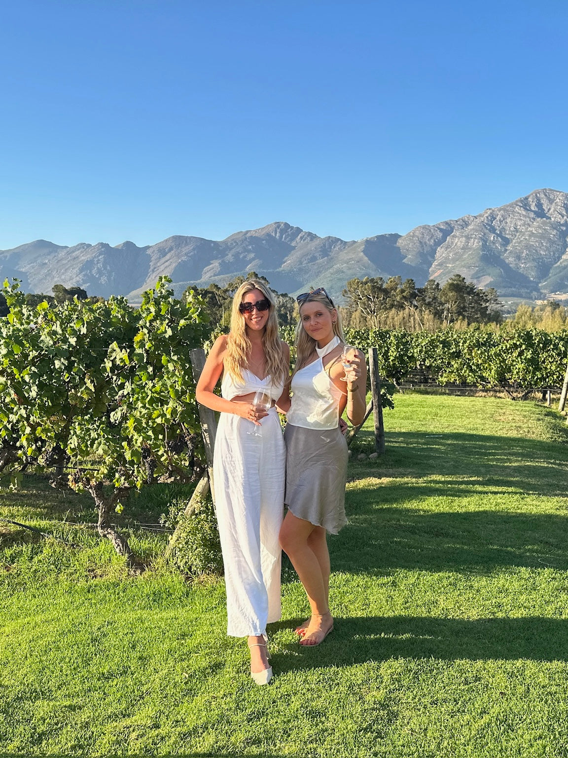 From Cape Town: Private Luxury Winary Tour with Three Wine Tastings