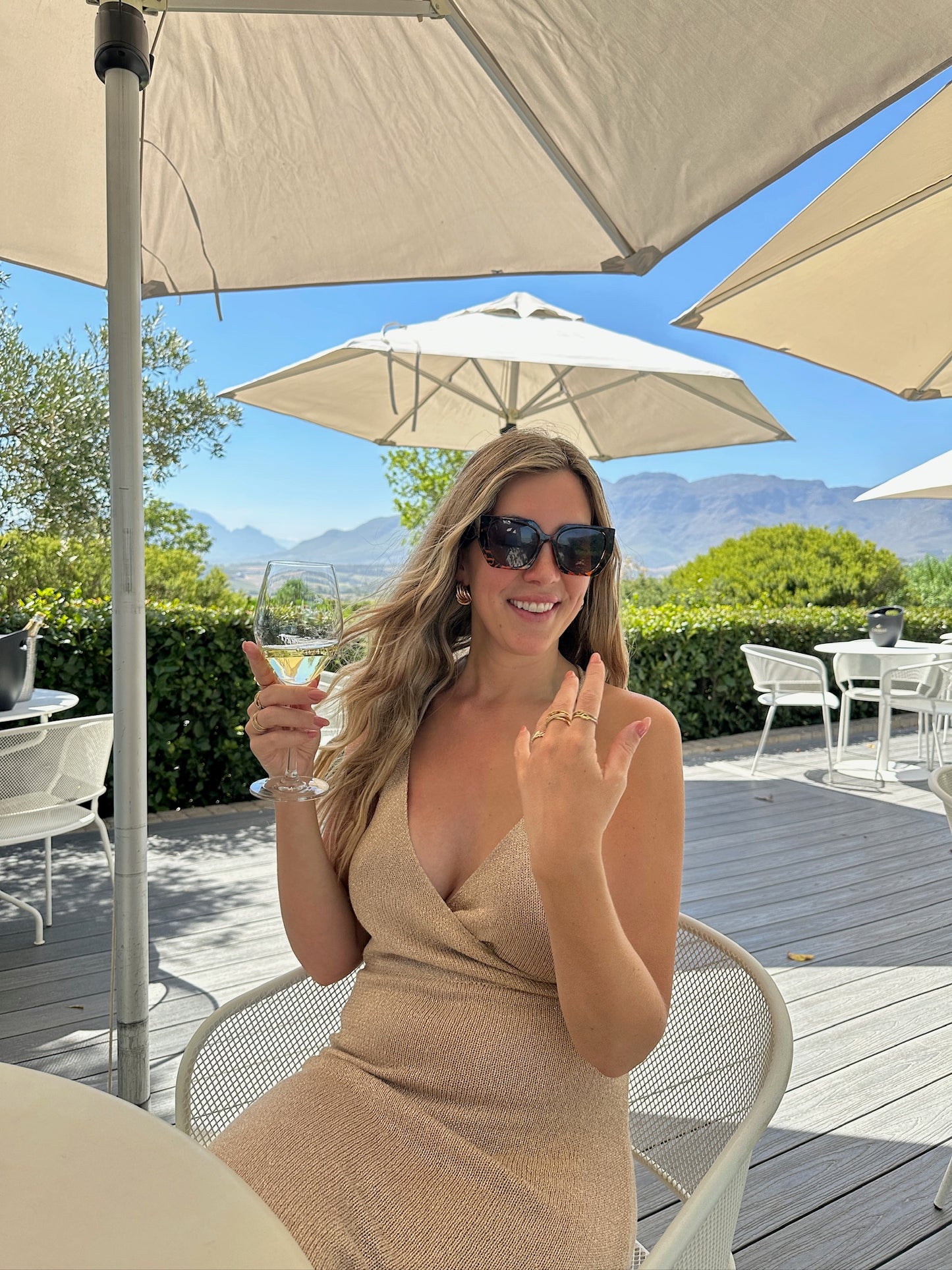 From Cape Town: Private Luxury Winary Tour with Two Tastings