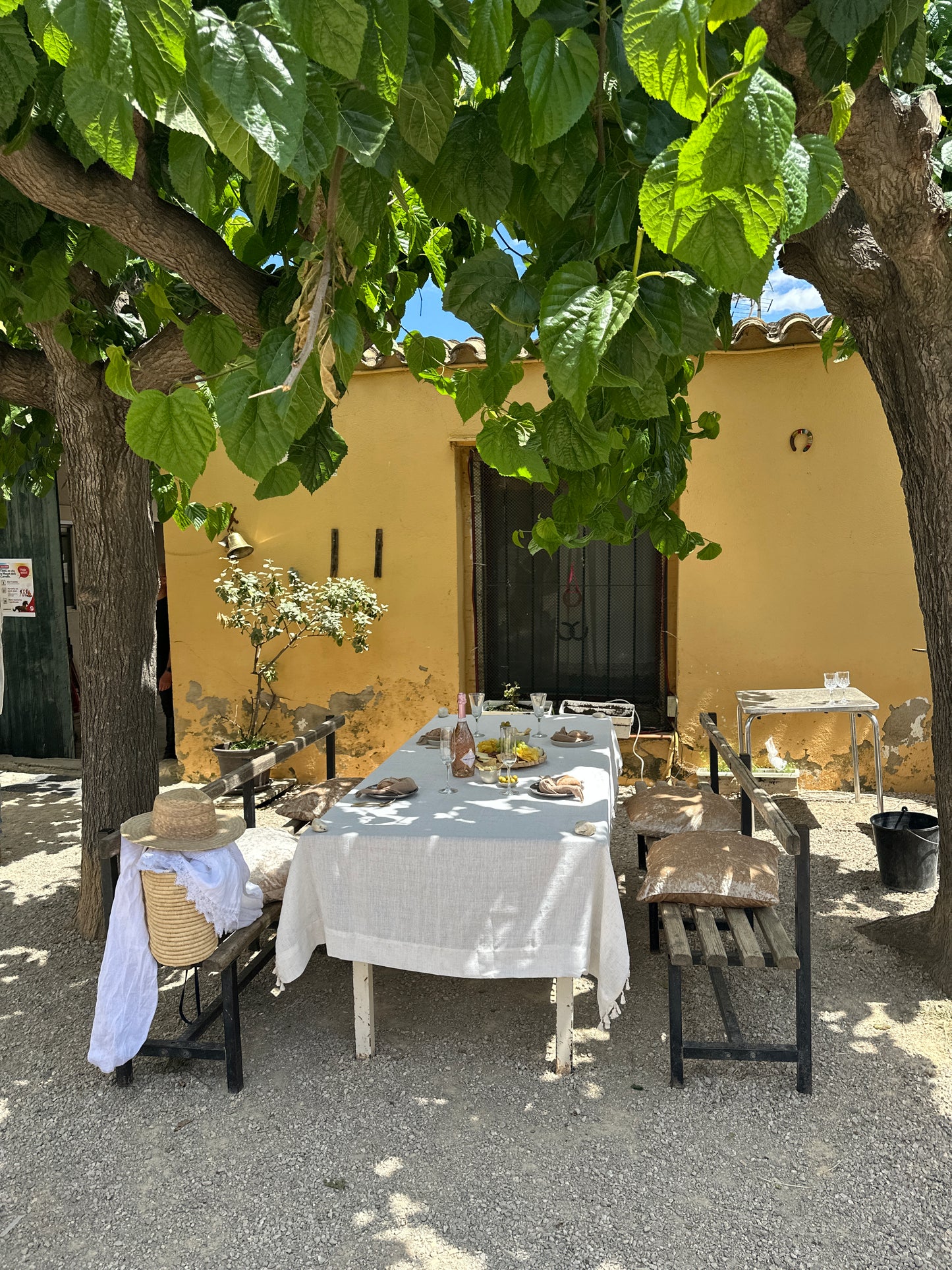 Horse Back Ride Tour with Picnic or Wine Tasting