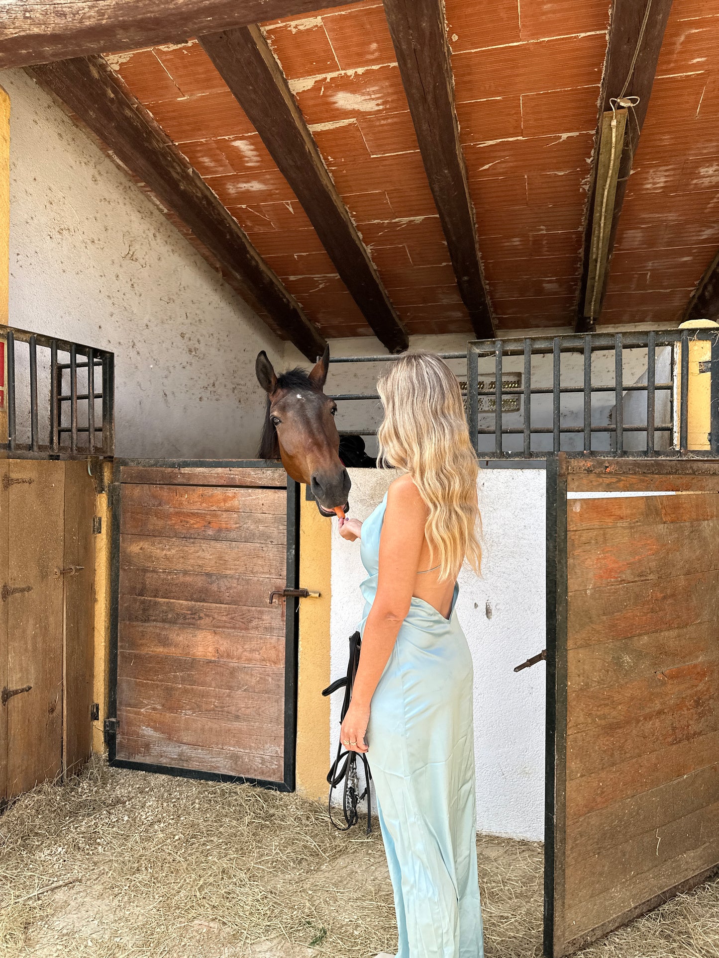 Horse Back Ride Tour with Picnic or Wine Tasting