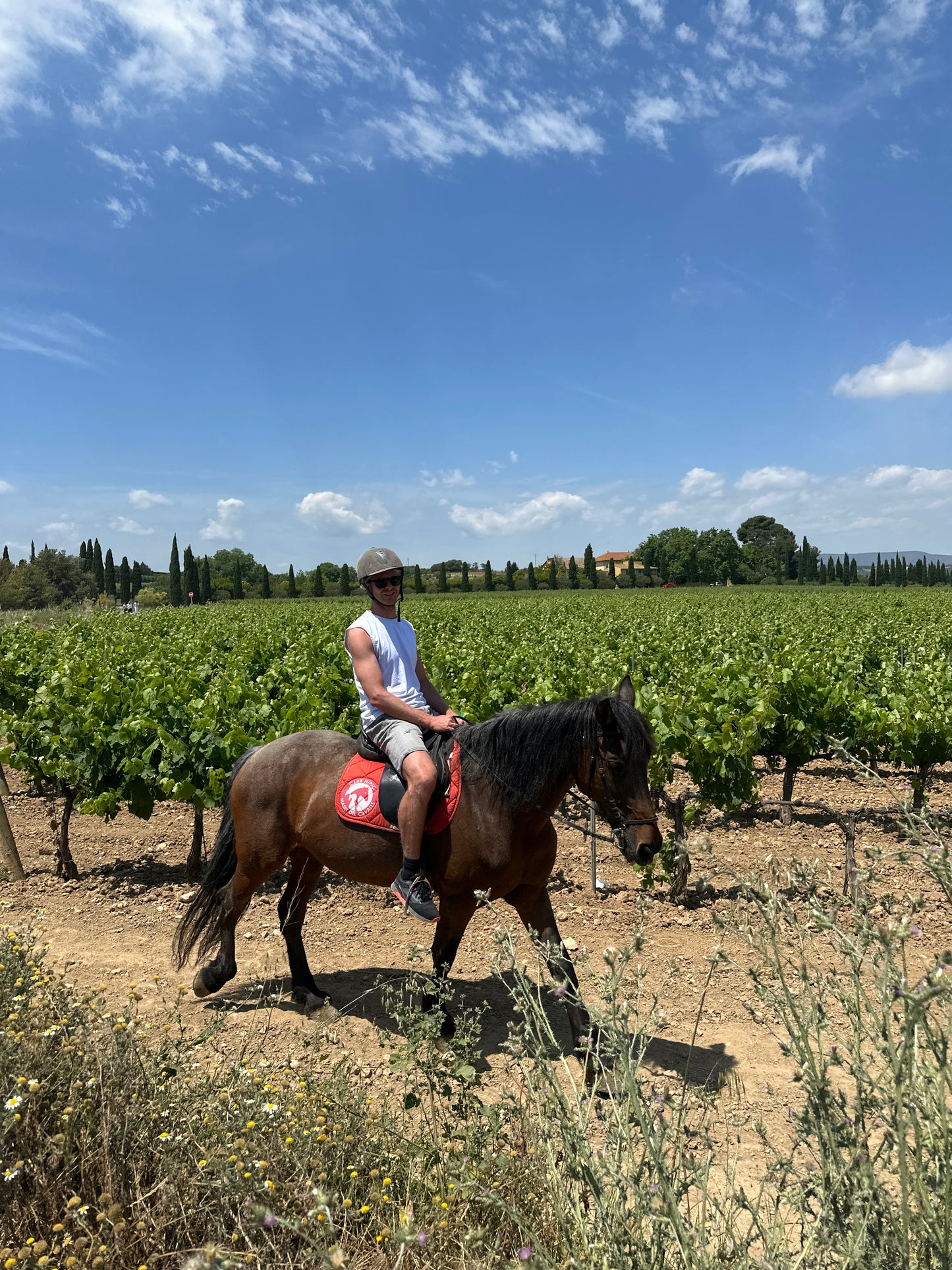 Horse Back Ride Tour with Picnic or Wine Tasting
