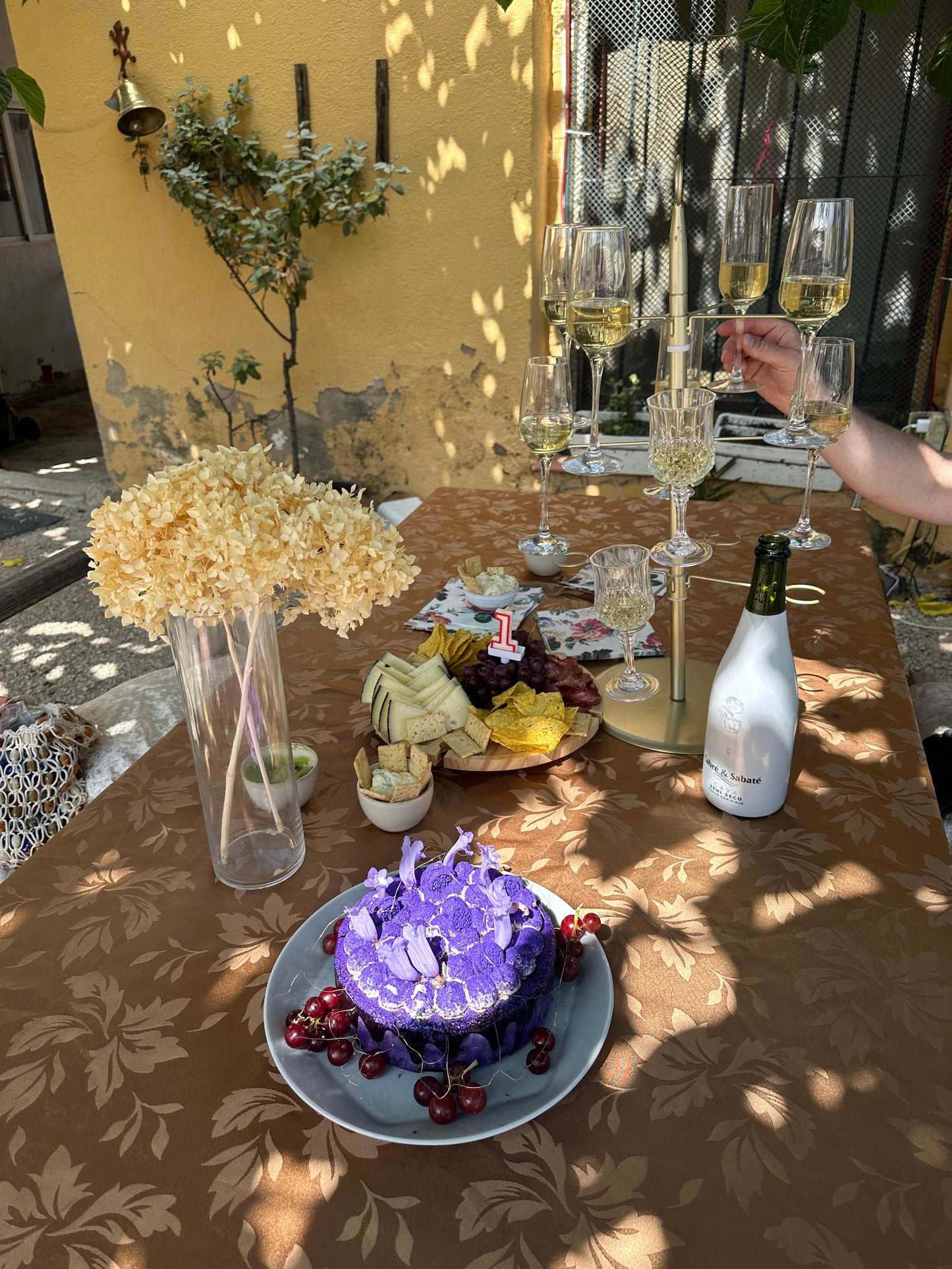 Horse Back Ride Tour with Picnic or Wine Tasting