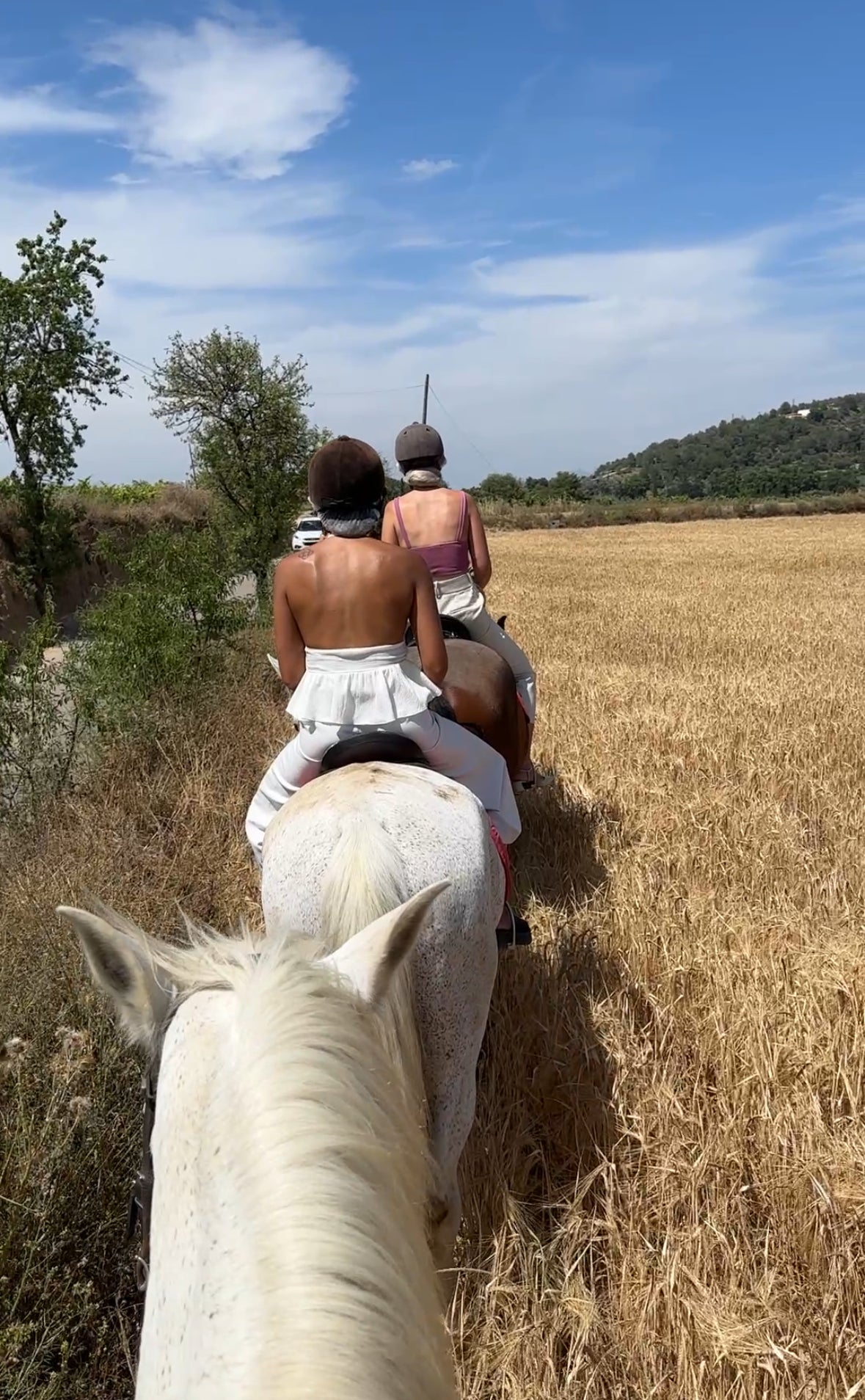 Horse Back Ride Tour with Picnic or Wine Tasting