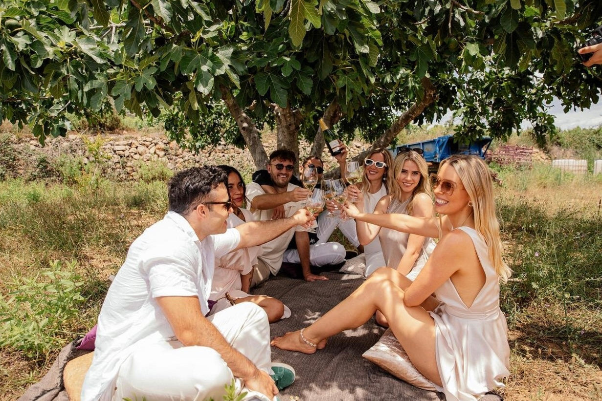 From Cape Town: Private Vineyard Horseback Riding with Wine Picnic