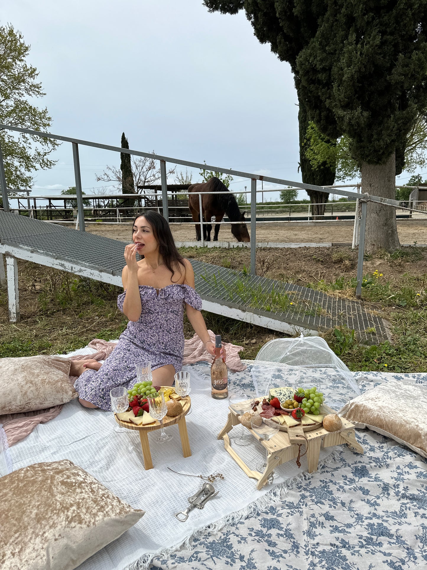 Horse Back Ride Tour with Picnic or Wine Tasting
