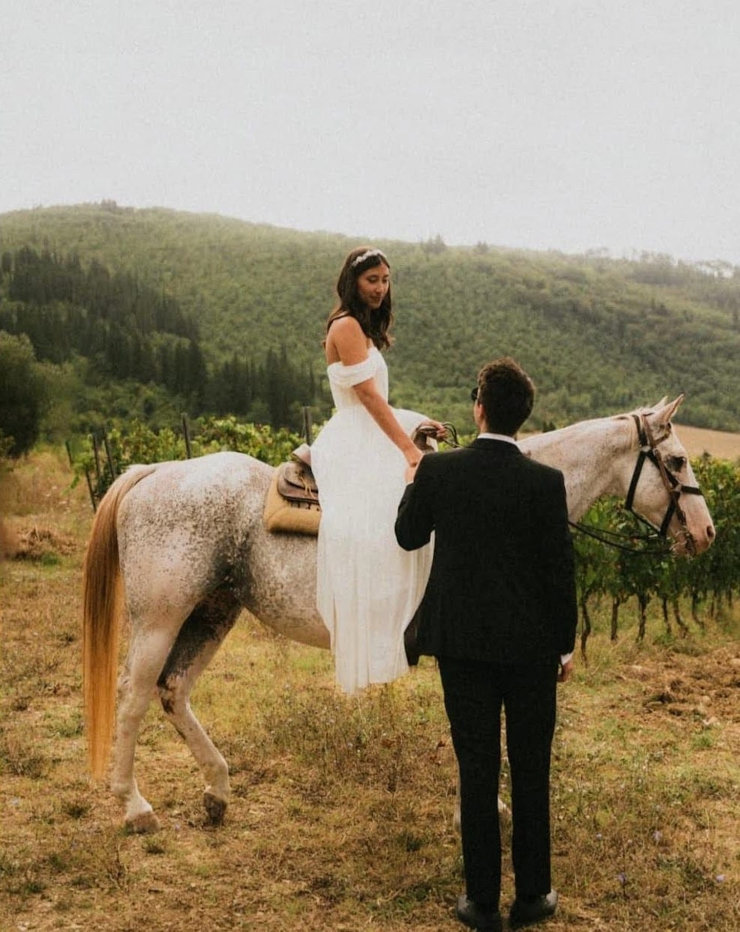 Horse Back Ride Tour with Picnic or Wine Tasting