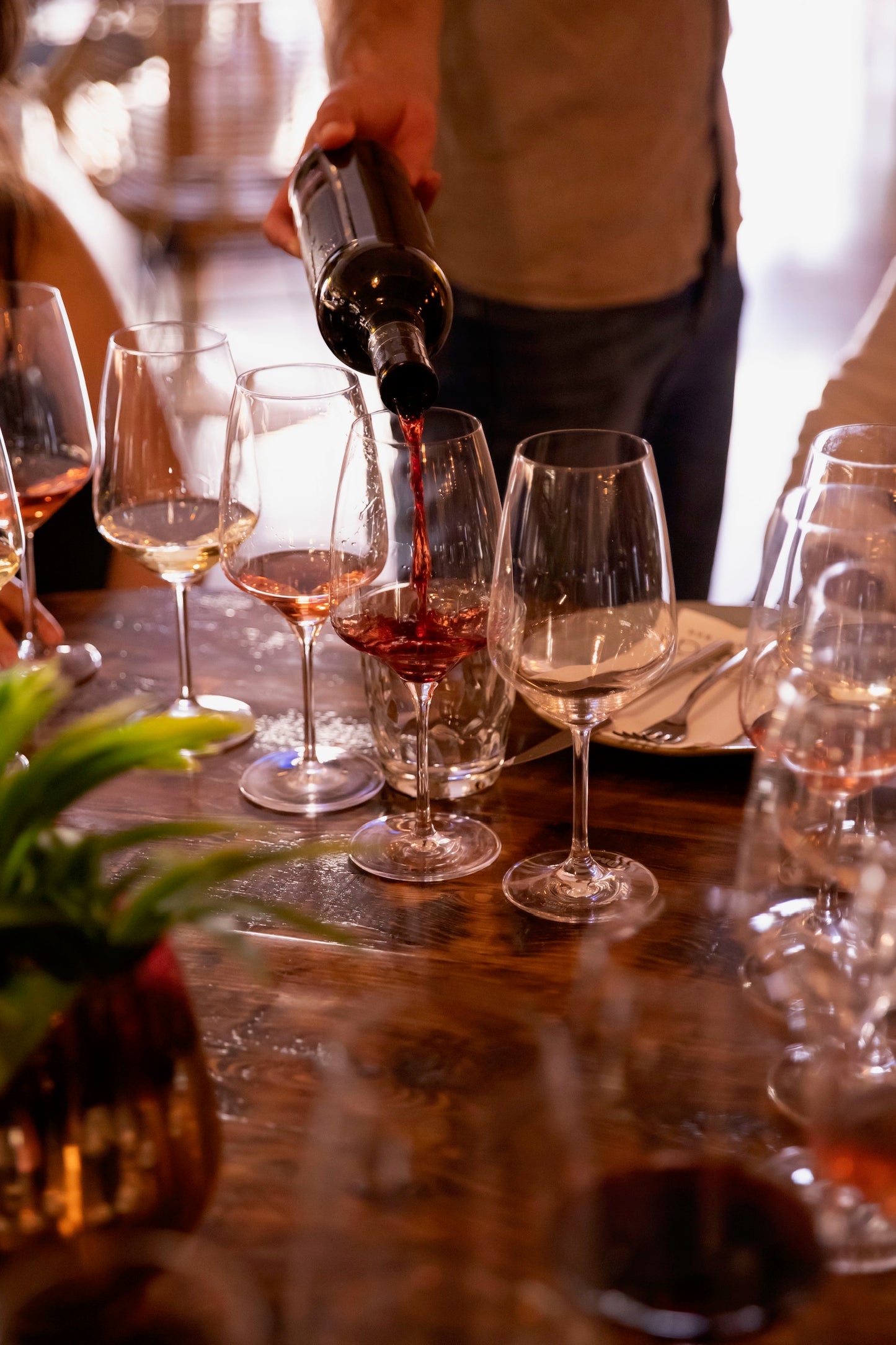 BARCELONA: Private Gaudí Wine Tasting with Renowned Sommelier