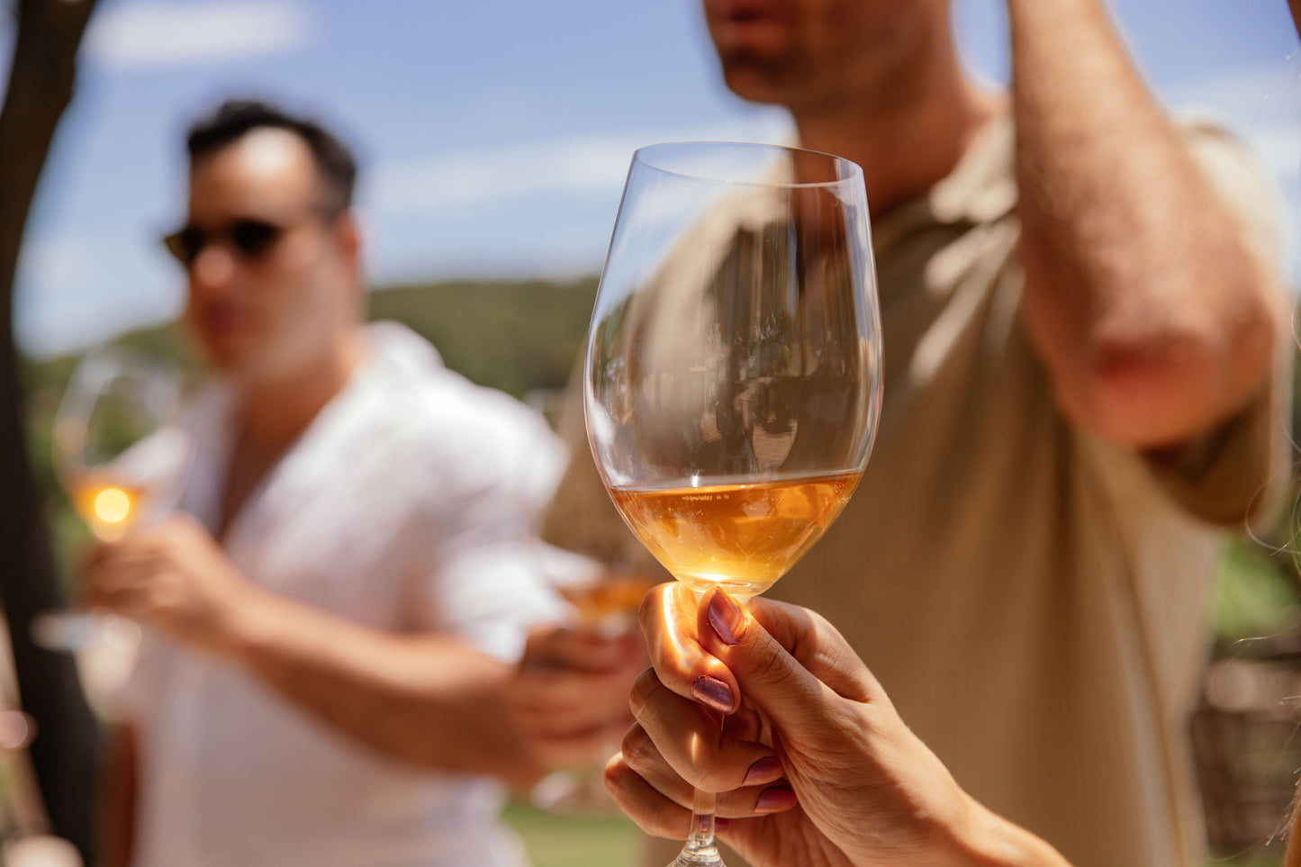 Ibiza: Winary Tour - 2 Wineries